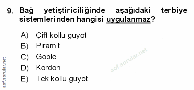 Soru 9