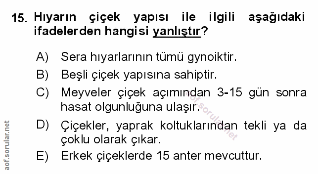 Soru 15