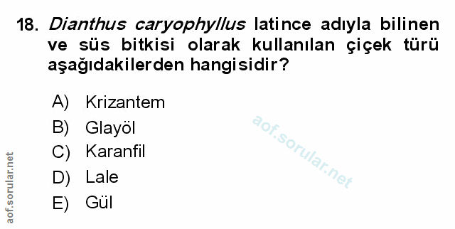 Soru 18