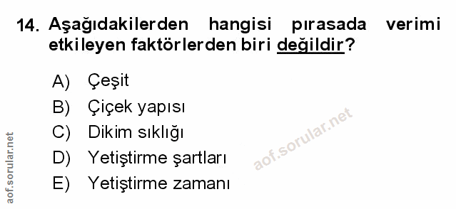 Soru 14
