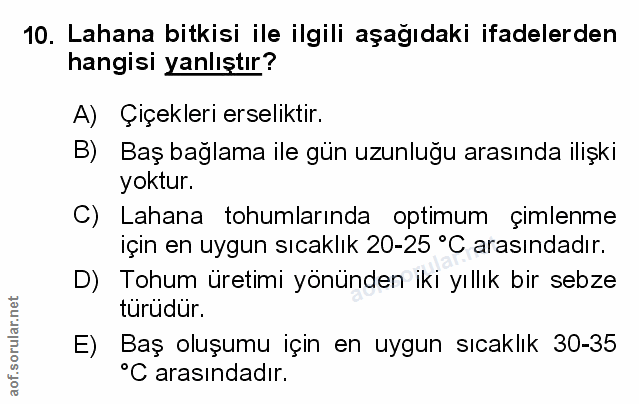 Soru 10