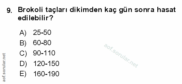 Soru 9