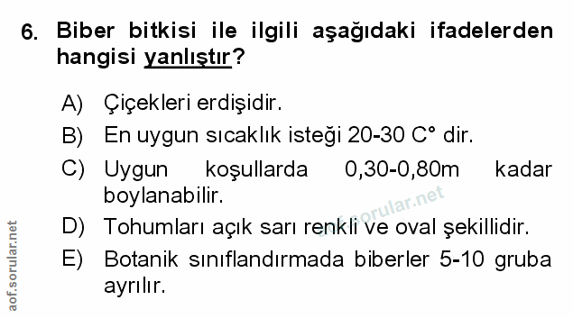 Soru 6