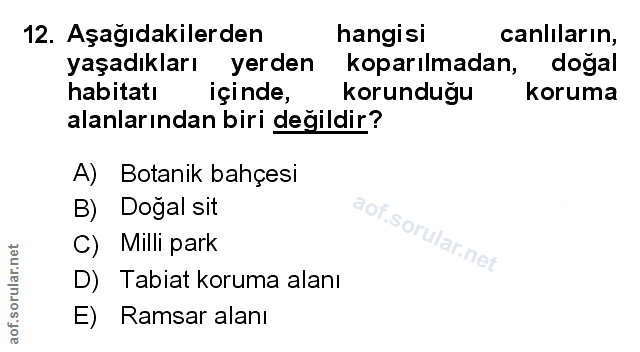 Soru 12
