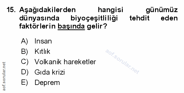 Soru 15