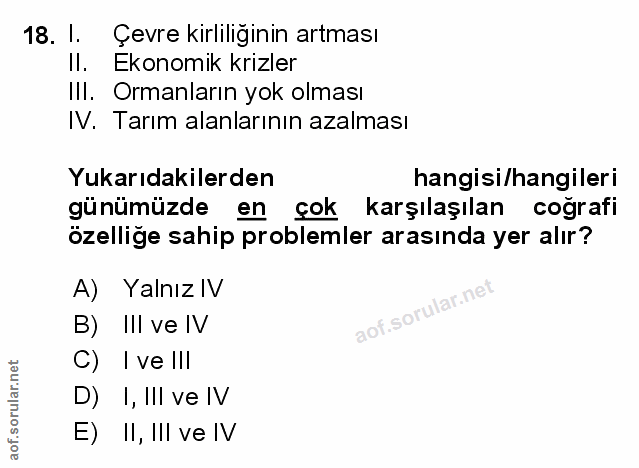 Soru 18