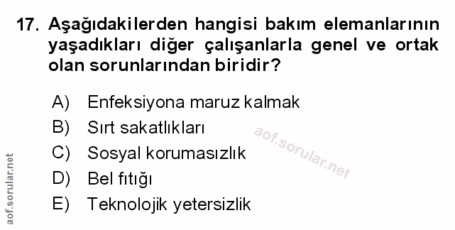 Soru 17