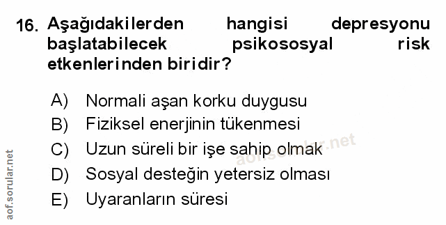 Soru 16