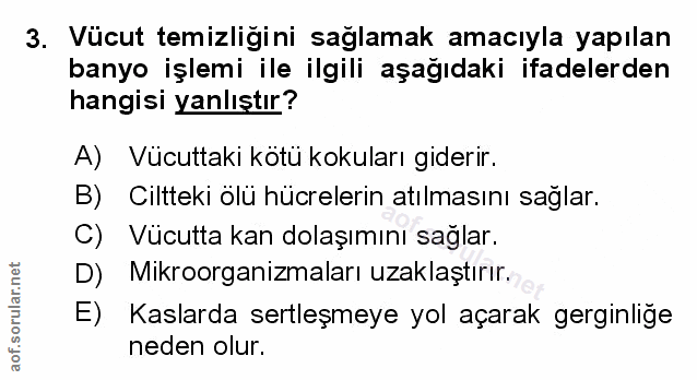 Soru 3