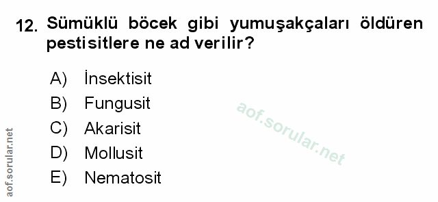 Soru 12