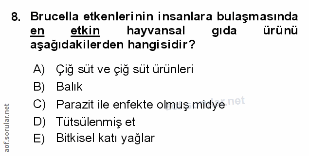 Soru 8