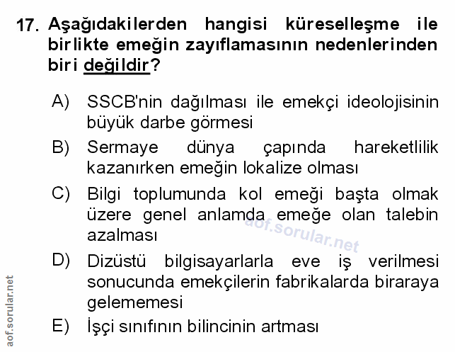 Soru 17