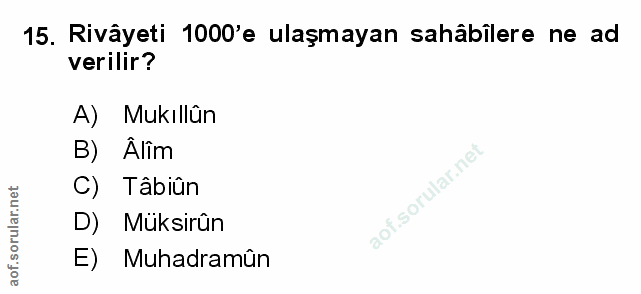 Soru 15