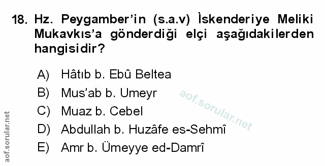 Soru 18