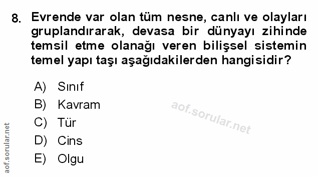 Soru 8