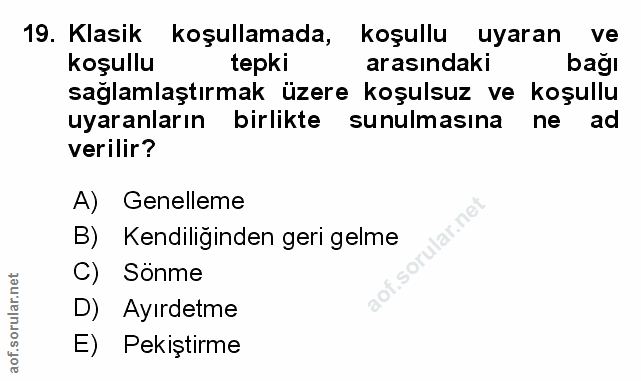 Soru 19