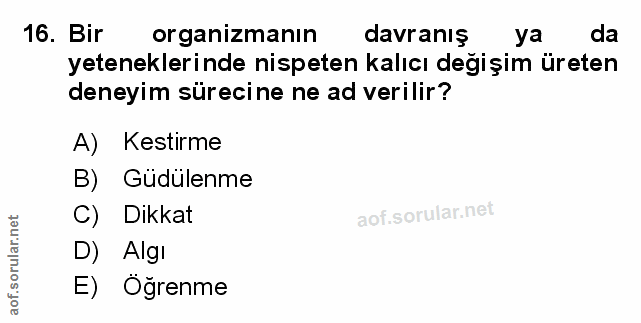 Soru 16