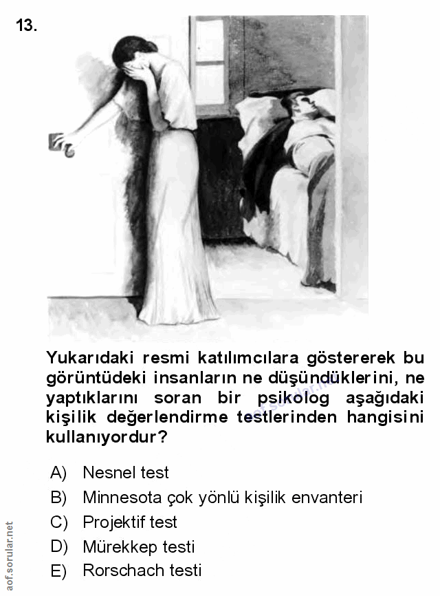 Soru 13