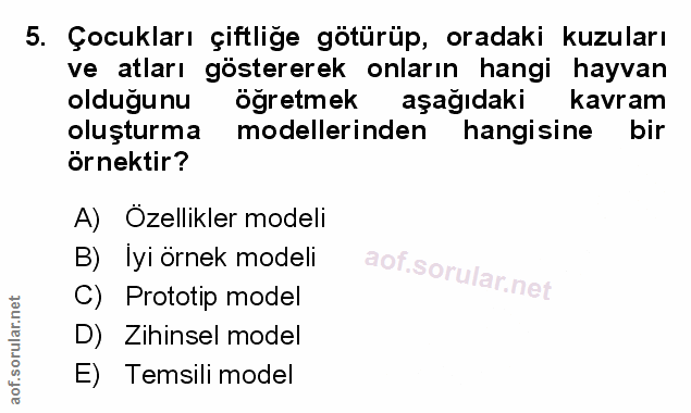 Soru 5