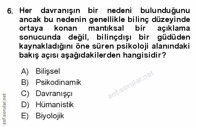 Soru 6
