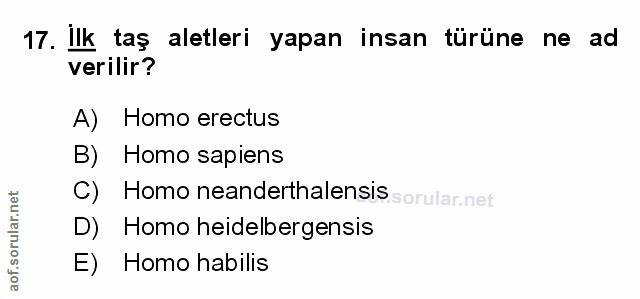 Soru 17