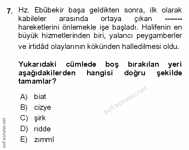Soru 7