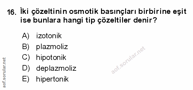 Soru 16