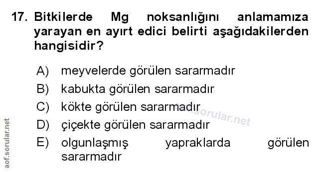 Soru 17