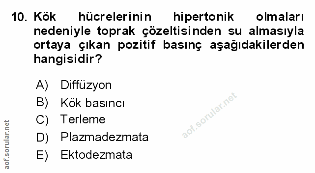 Soru 10