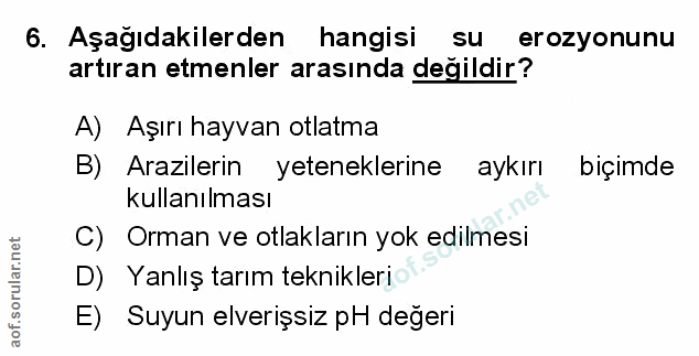 Soru 6