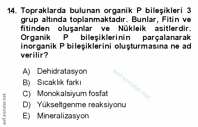 Soru 14