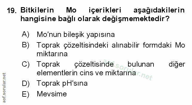 Soru 19