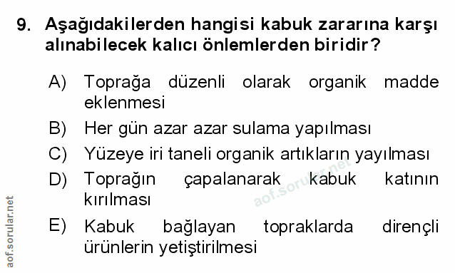 Soru 9
