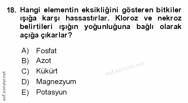 Soru 18