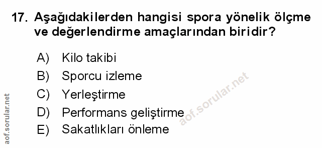 Soru 17