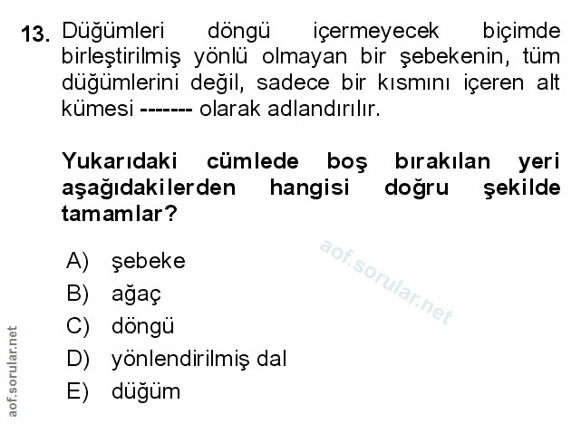 Soru 13