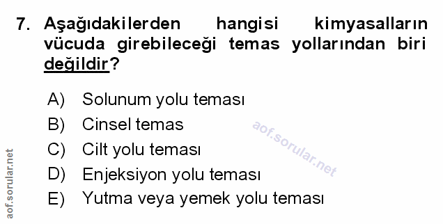 Soru 7