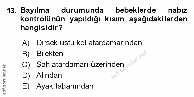 Soru 13