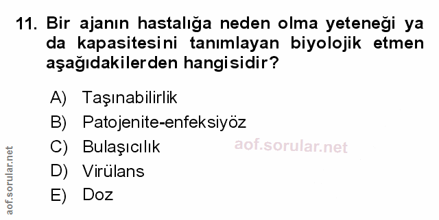 Soru 11
