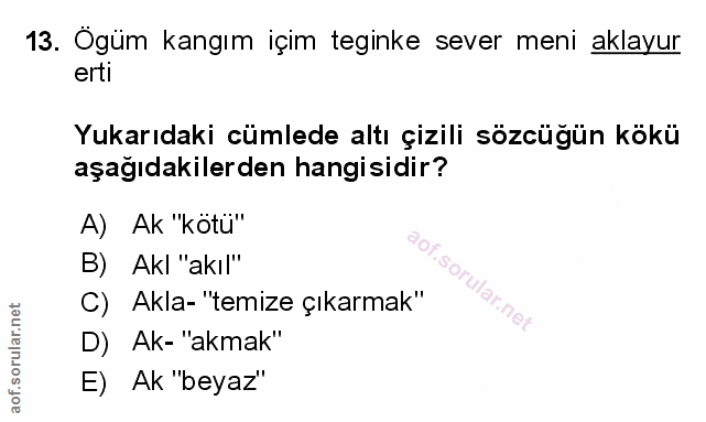 Soru 13
