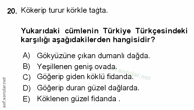 Soru 20