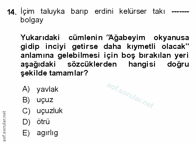Soru 14