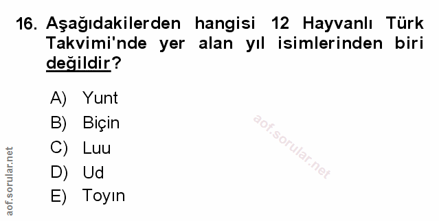 Soru 16