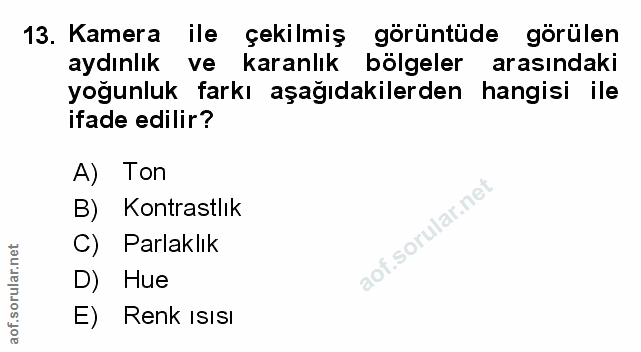 Soru 13
