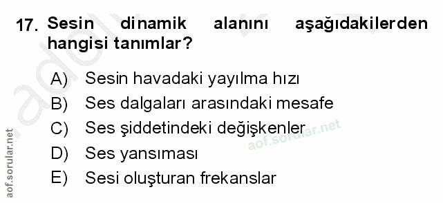 Soru 17