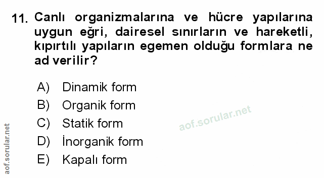 Soru 11