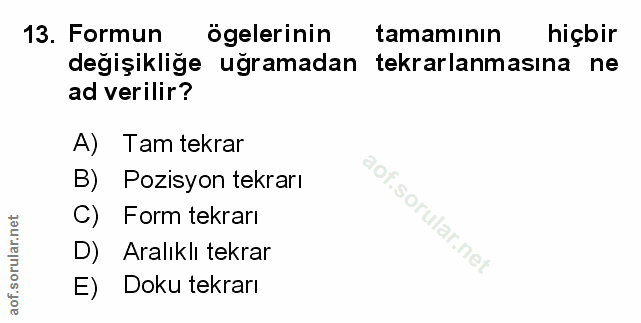 Soru 13