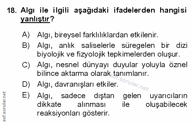 Soru 18