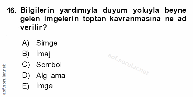 Soru 16