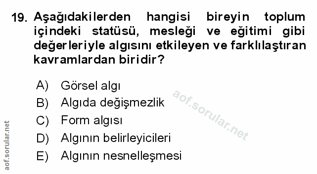 Soru 19